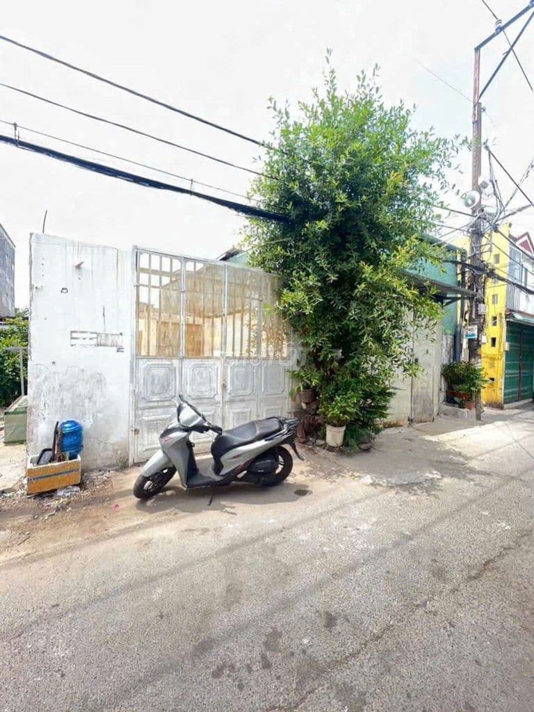 BAN đất đào tông Nguyên bè ngang 5 m đường xe hơi - Ảnh 3