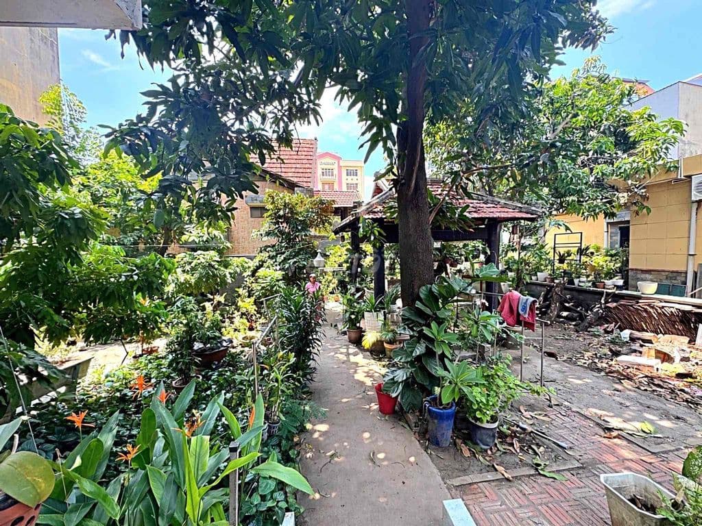 MẶT TIỀN ĐƯỜNG BÌNH LONG - NHÀ VƯỜN SIÊU RỘNG - Ảnh 2