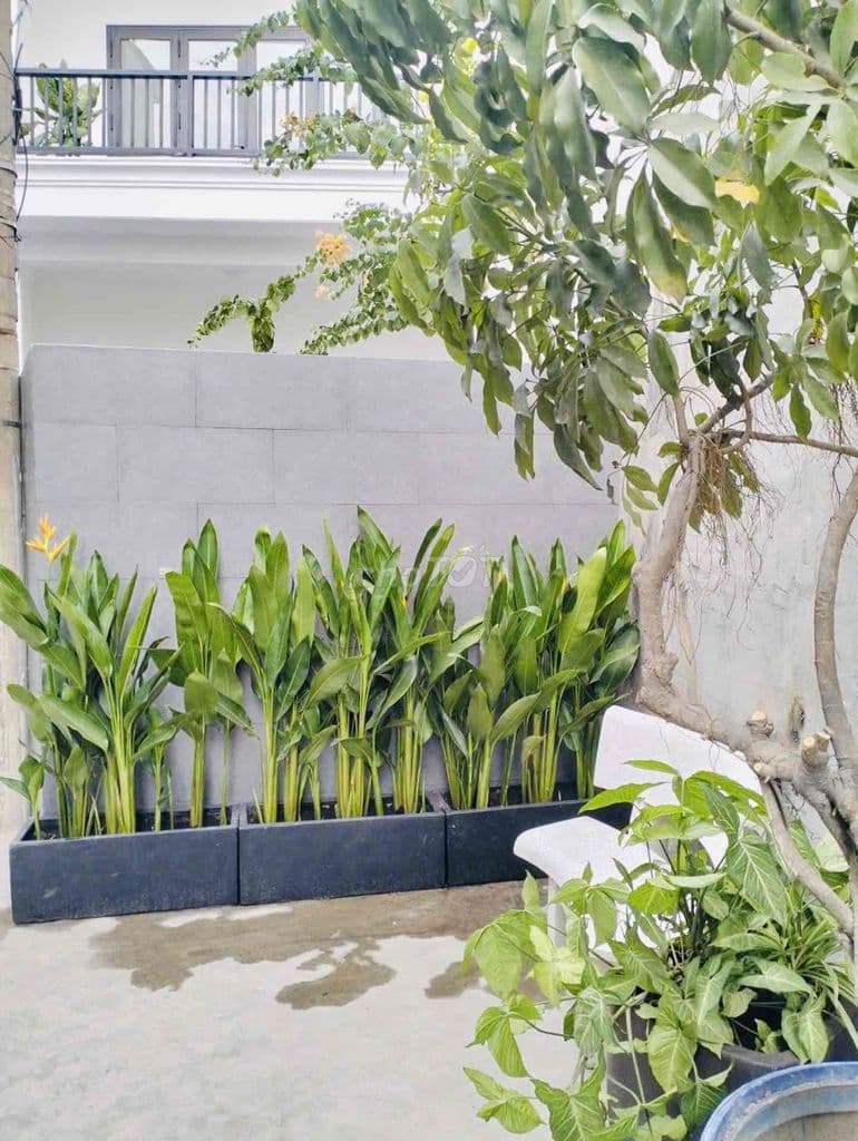 HÀNG HIẾM KHA VẠN CÂN | 75M2 - 2 TẦNG | 2 MẶT THOÁNG | VF3 NGỦ SÂN - Ảnh 3