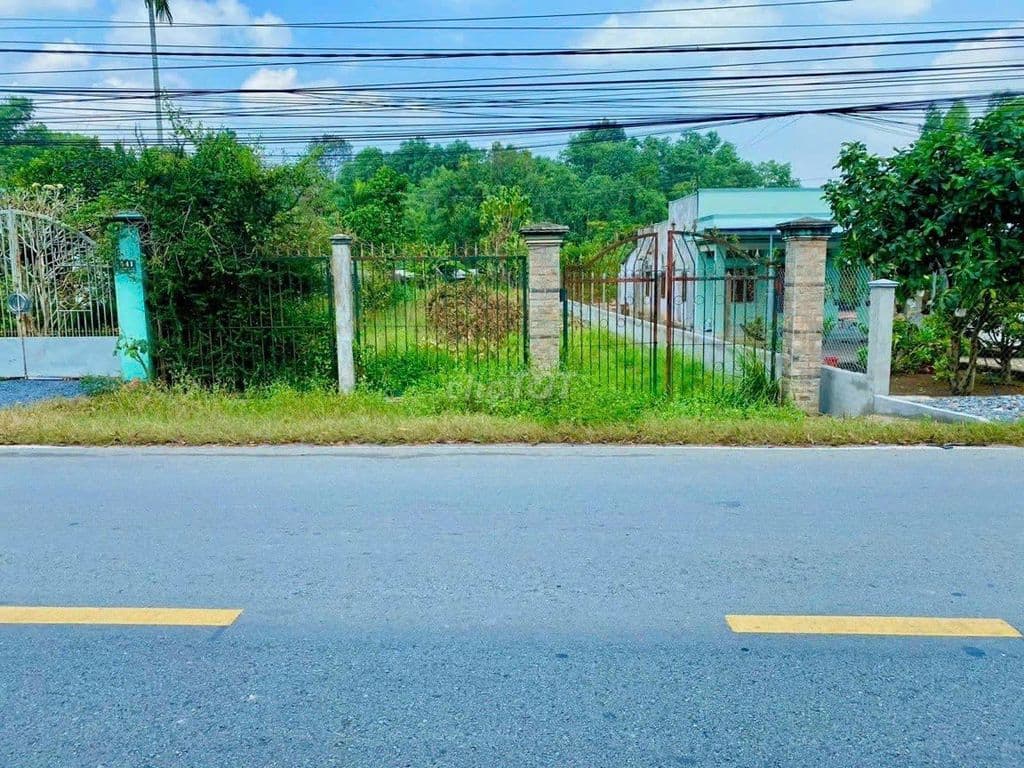 VỢ TÔI NỢ PHÁ SẢN BÁN LÔ MT NHỰA 30M 436,8M2 THỊ TRẤN CỦ CHI 700TR SHR - Ảnh 2