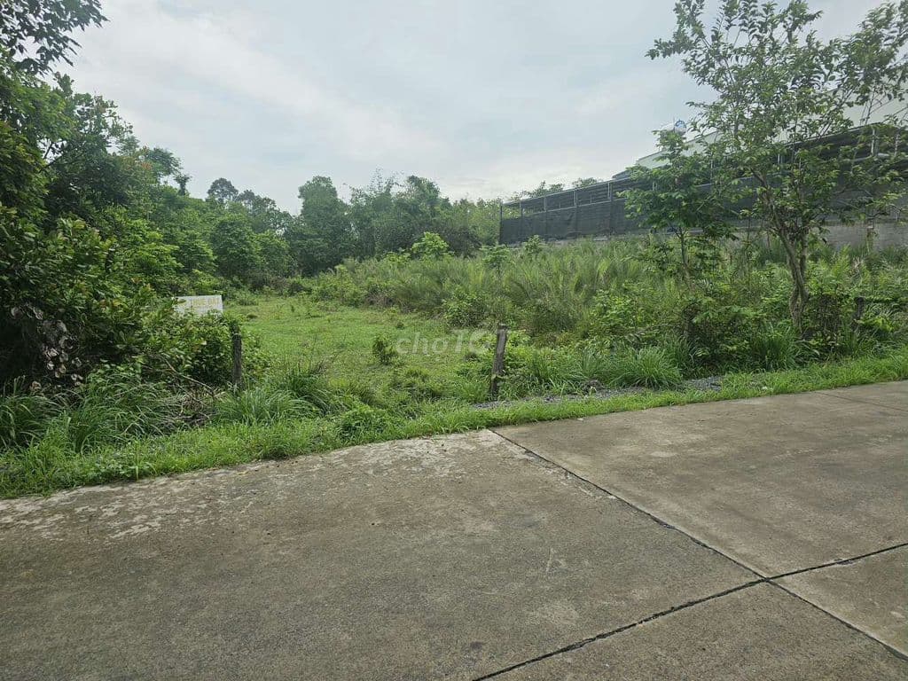 950m2( 16×76) Ngay cây Dù Vàng , có sổ , đúng giá 2 tỷ 3