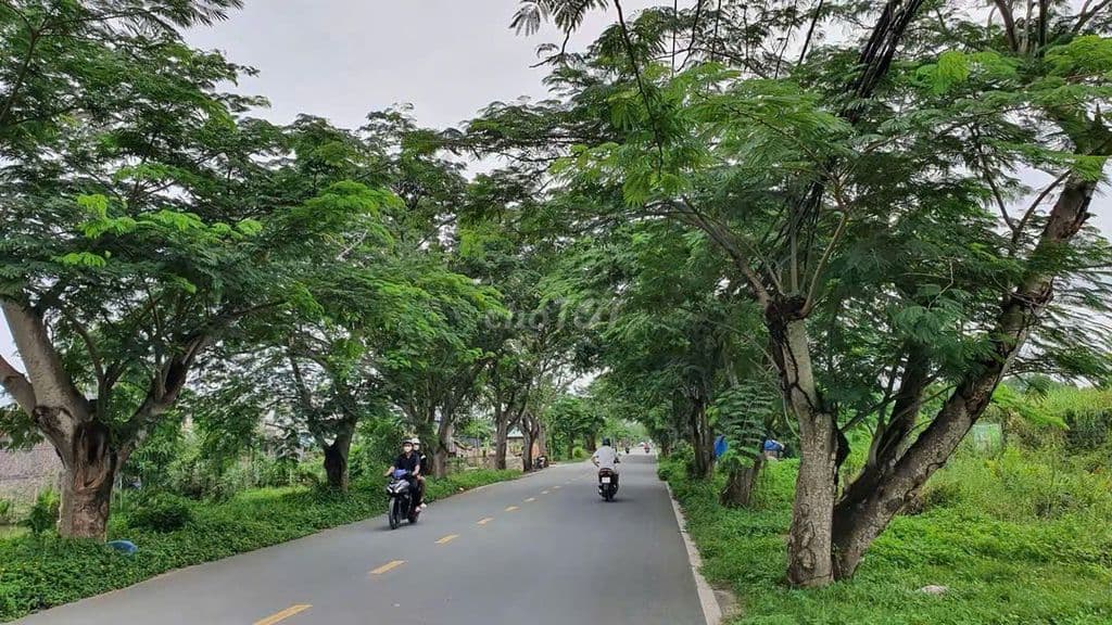 Chủ kẹt tiền bán lỗ lô đất MT Ngô Quang Thắm, Nhà Bè - Ảnh 2