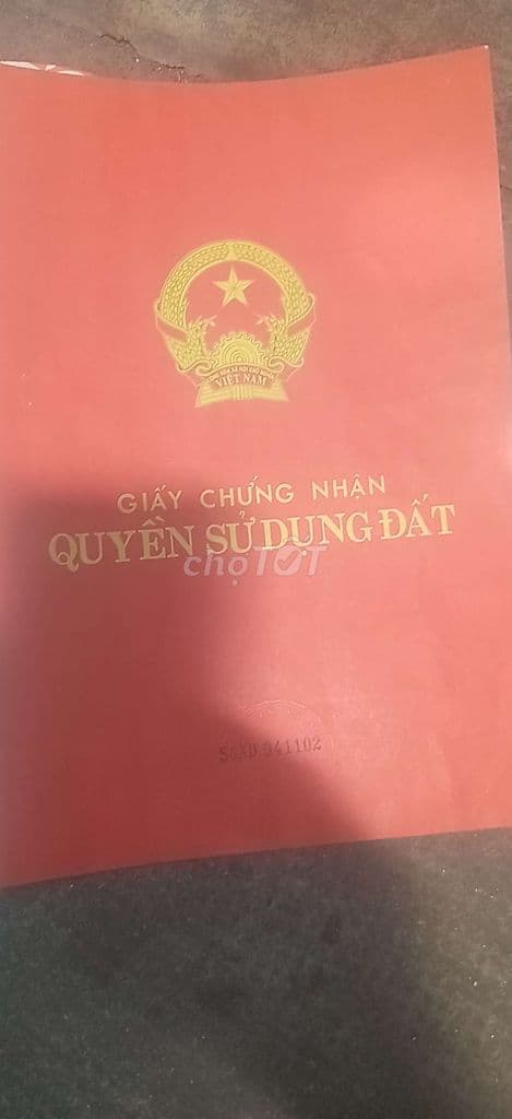 Nhà Q1 cần bán