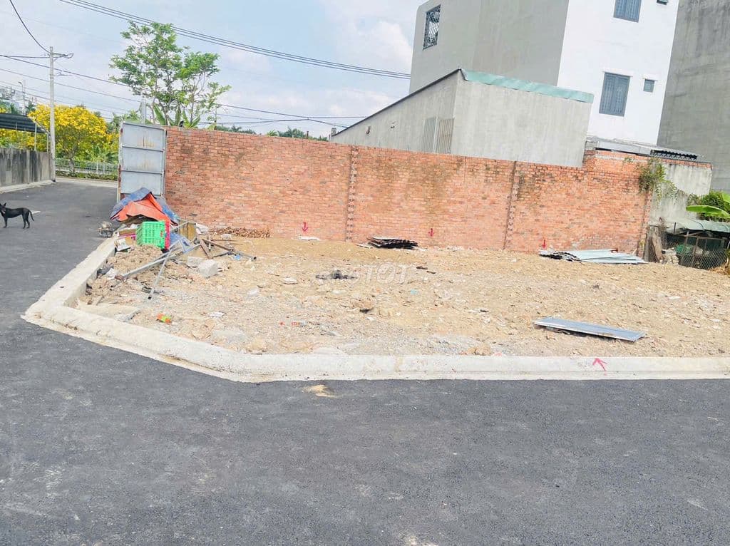 🏡 Ở Thạnh Lộc mà tưởng đâu ở ĐL ấy nhỉ , Đường hoa An Phú Đông, Q12 - Ảnh 2