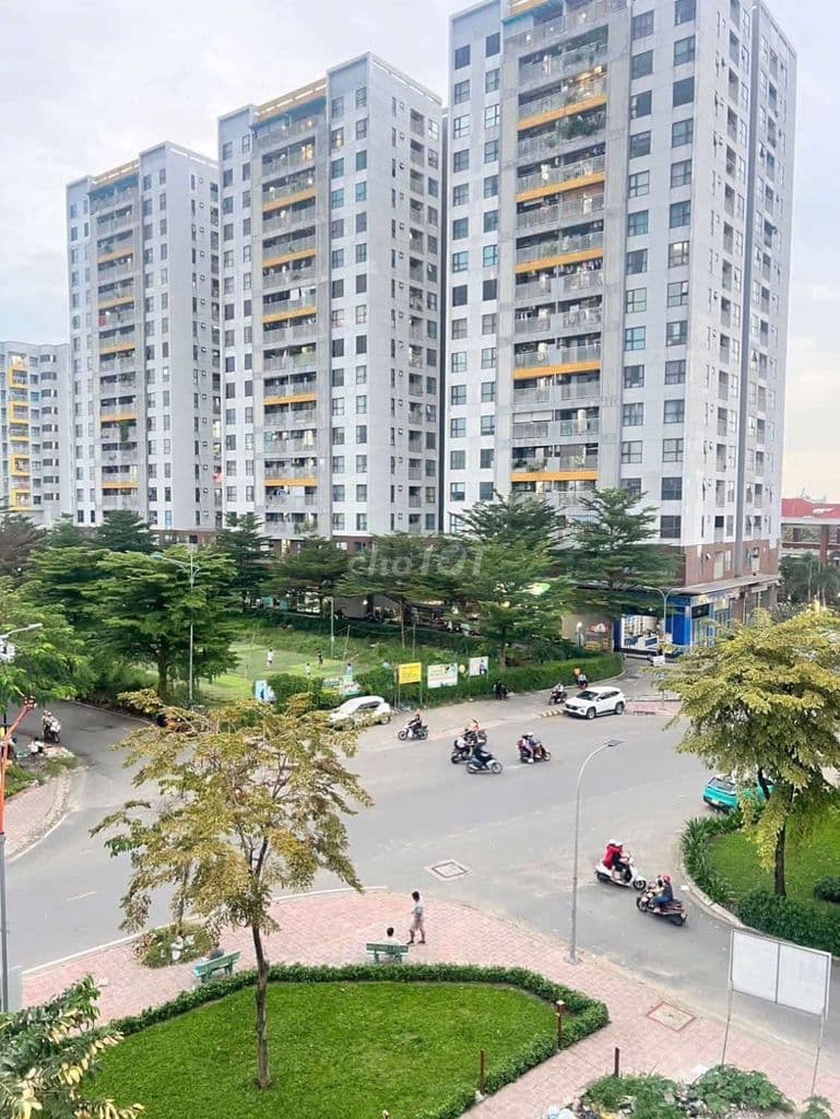 COOP TRỤC NGUYỄN OANH GÒ VẤP - ĐÃ CÓ SỔ