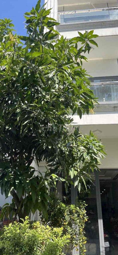 CẦN BÁN NHÀ KDC ĐIỀN THUẬN - Ảnh 3