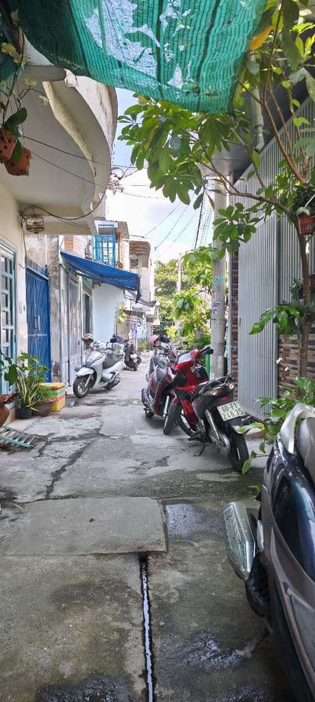 48 hẻm cầu năm chống