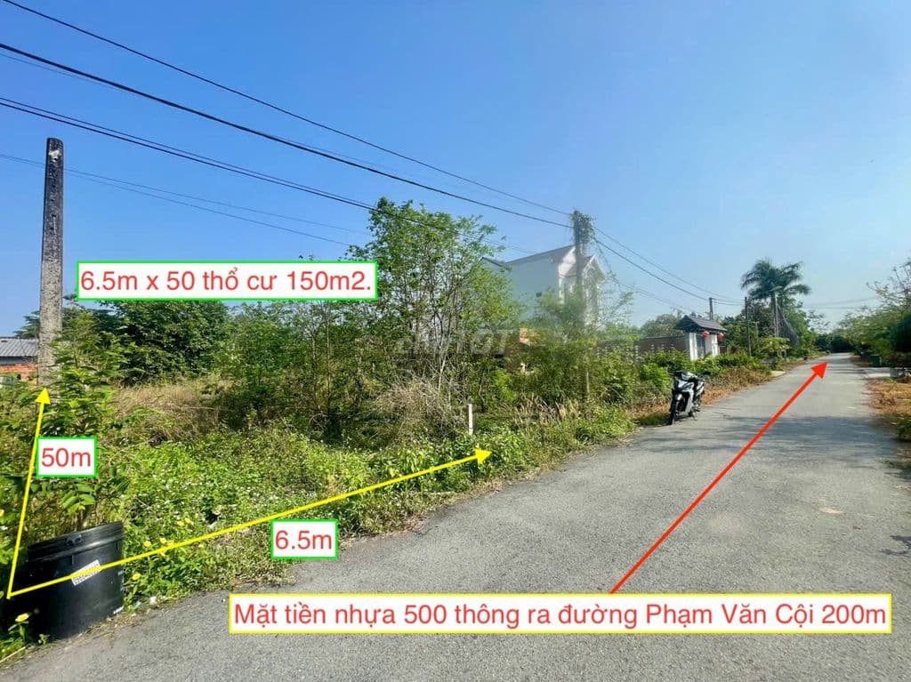 Cần bán nhanh đất xã Phạm Văn Cội cũ 324m2 6.5x50 thổ cư. Giá 1,99 tỷ - Ảnh 3