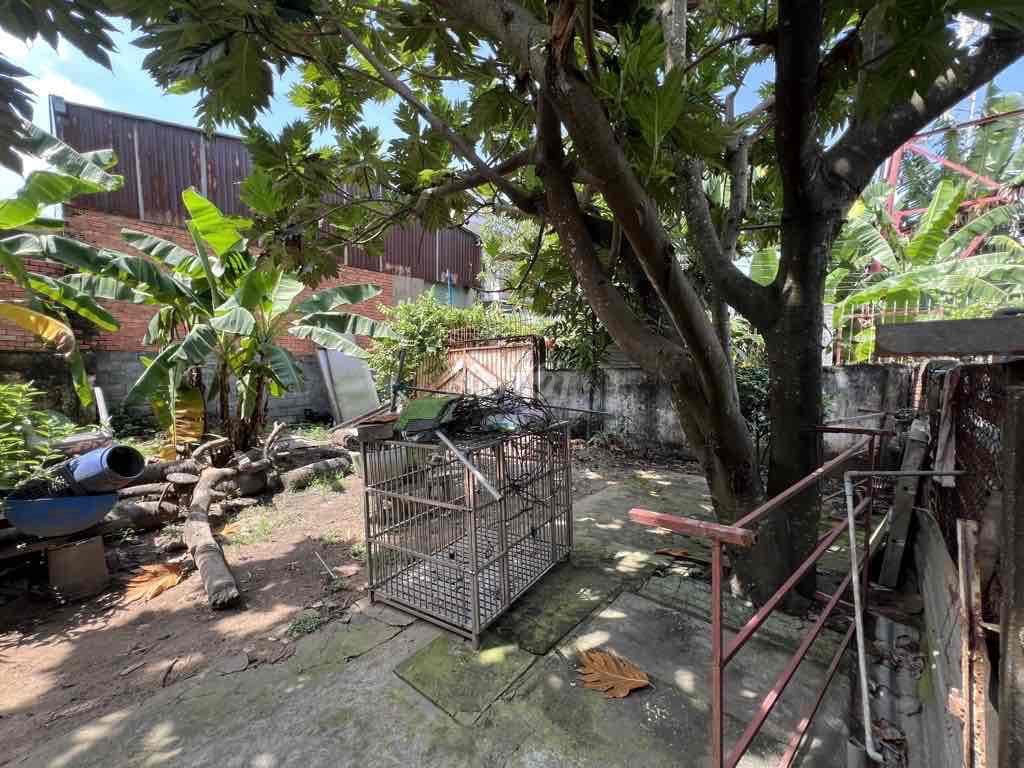 bán đất tặng nhà đường Trần văn giàu diện tích 410m2 - Ảnh 3