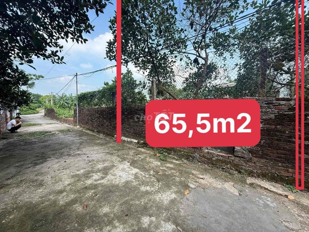 BÁN ĐẤT ĐẠI YÊN, CHƯƠNG MỸ 🏠 - 65,5M2 - GIÁ 2,850 TỶ (CÓ THƯƠNG LƯỢNG) - Ảnh 3