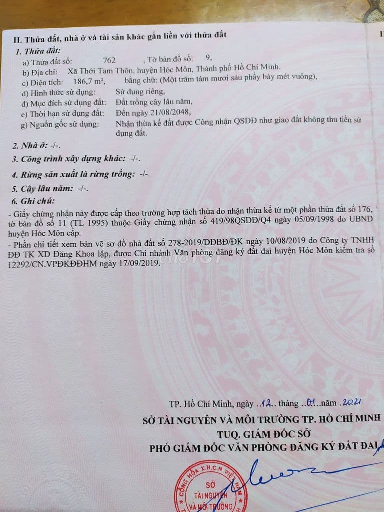 (Chính chủ) bán nhà vườn Hóc Môn 1.300m2 (300m2 thổ cư) -11,5 triệu/m2 - Ảnh 2