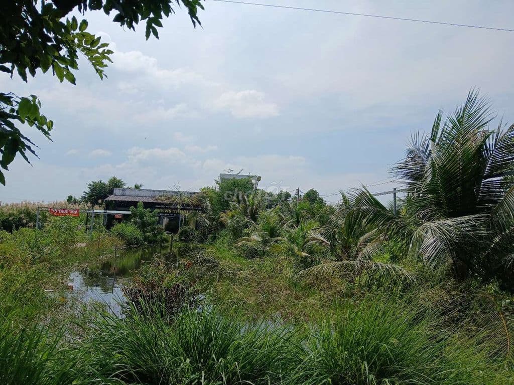 Nhà bè. Bán đất mt nguyễn bình - Ảnh 3