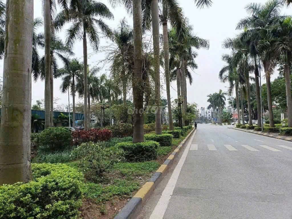 CHÍNH CHỦ BÁN GẤP CĂN HỘ TẦNG 6 – KĐT ĐẶNG XÁ, THƯƠNG LƯỢNG SÂU - Ảnh 3