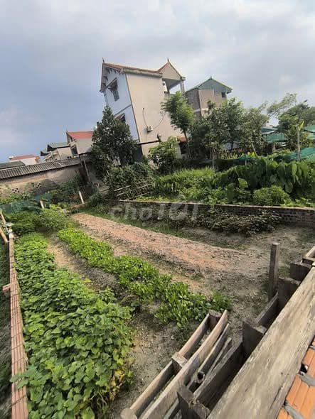 bán đất 65m2 Đông Anh - giá đầu tư 100tr/m2