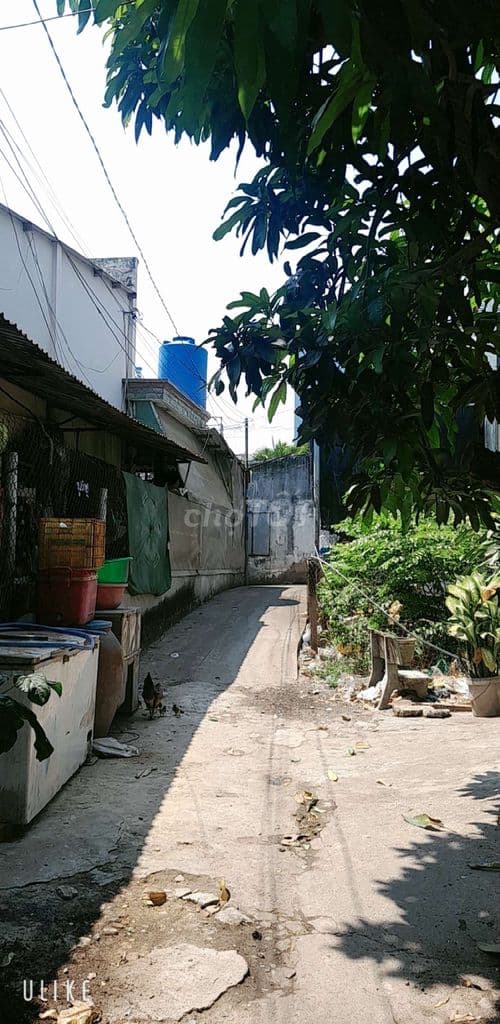 Nhà Bán 215m2 Trịnh Như Khuê,Bình Chánh,Thu nhập 11 tr/ th. Chỉ 3.5 Tỷ - Ảnh 2