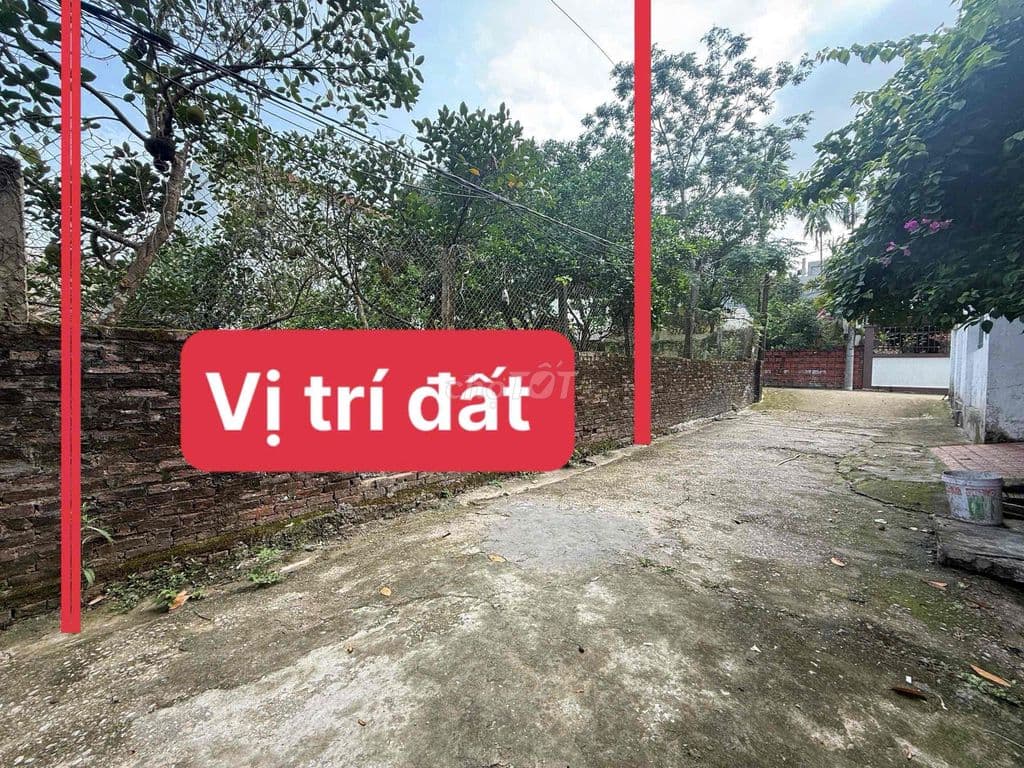 BÁN ĐẤT ĐẠI YÊN, CHƯƠNG MỸ 🏠 - 65,5M2 - GIÁ 2,850 TỶ (CÓ THƯƠNG LƯỢNG) - Ảnh 2