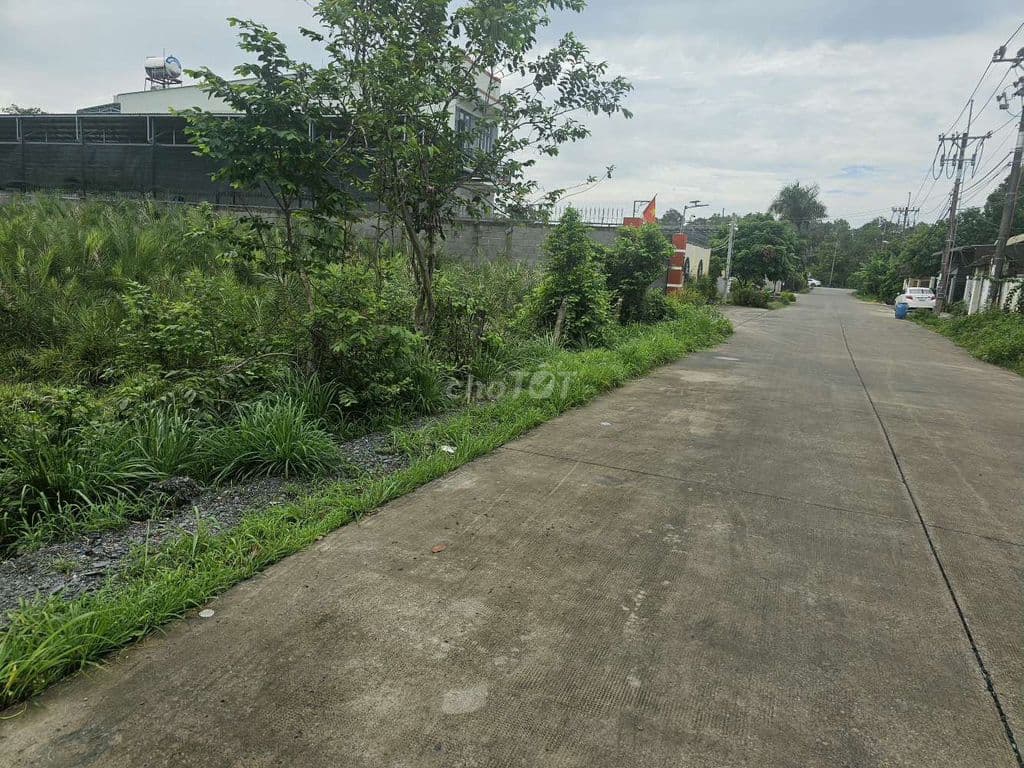 950m2( 16×76) Ngay cây Dù Vàng , có sổ , đúng giá 2 tỷ 3 - Ảnh 3