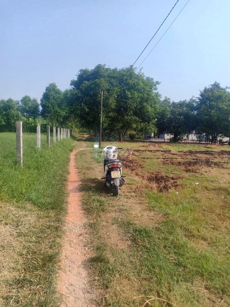 "NGỘP QUÁ NGỘP" HẠ GIÁ 850 TRIỆU BÁN LÔ ĐẤT 512M ĐẤT NÔNG NGHIỆP - Ảnh 2