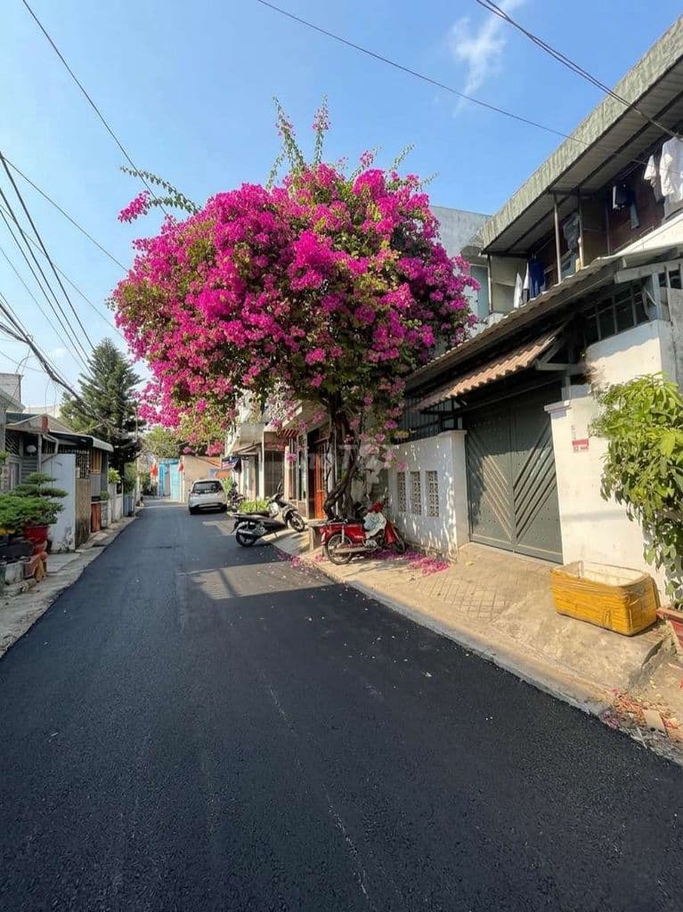 quận 7, HXH, 96m2, ngang 5,5m,ô tô ngủ nhà, nhỉnh 9 tỷ