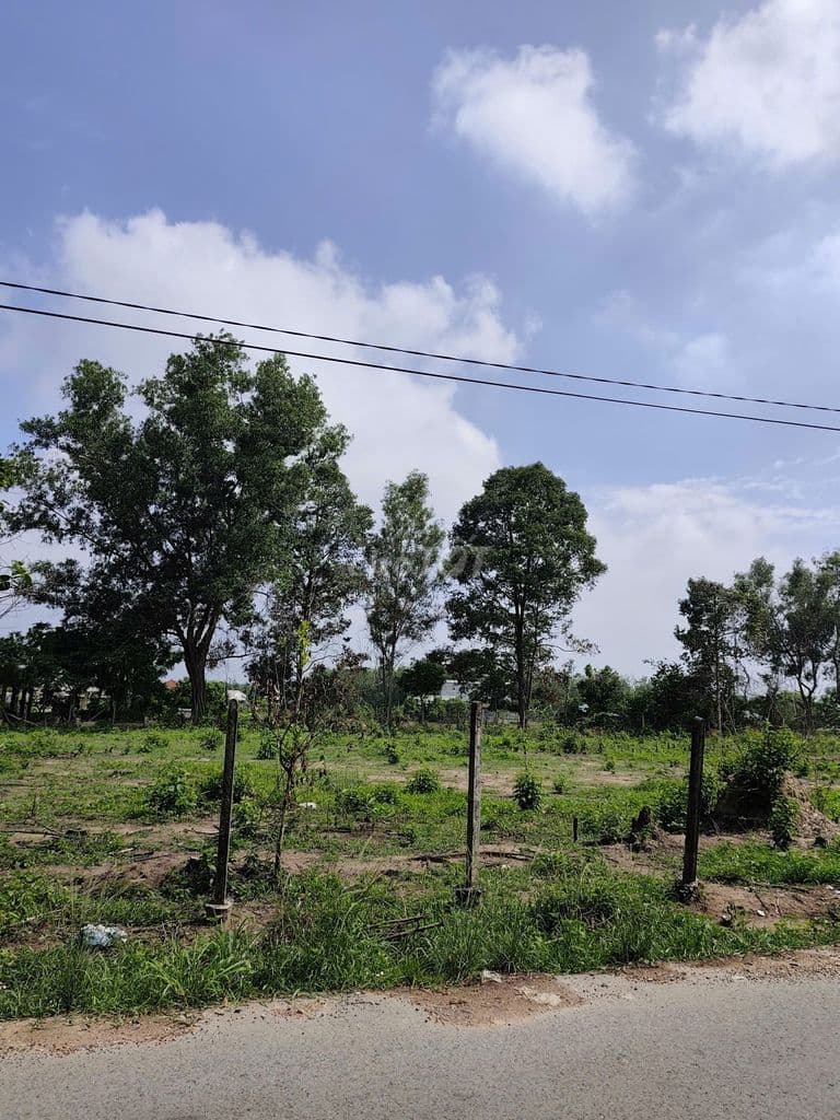 Chủ ngộp lãi ngân hàng bán LỖ 100m2 đất Nguyễn Văn Khạ Củ Chi 1,5ty - Ảnh 3