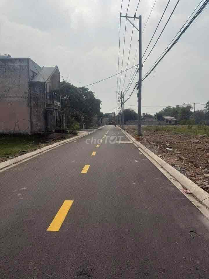 Bán đất đường Thanh Niên - Hóc Môn giá 2.48 tỷ sổ hồng riêng - Ảnh 2