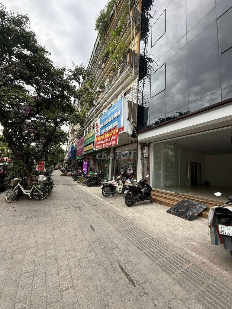 SIÊU PHẨM MẶT PHỐ ĐÀO TẤN - TÒA NHÀ VĂN PHÒNG VIP - DÒNG TIỀN KHỦNG - Ảnh 2