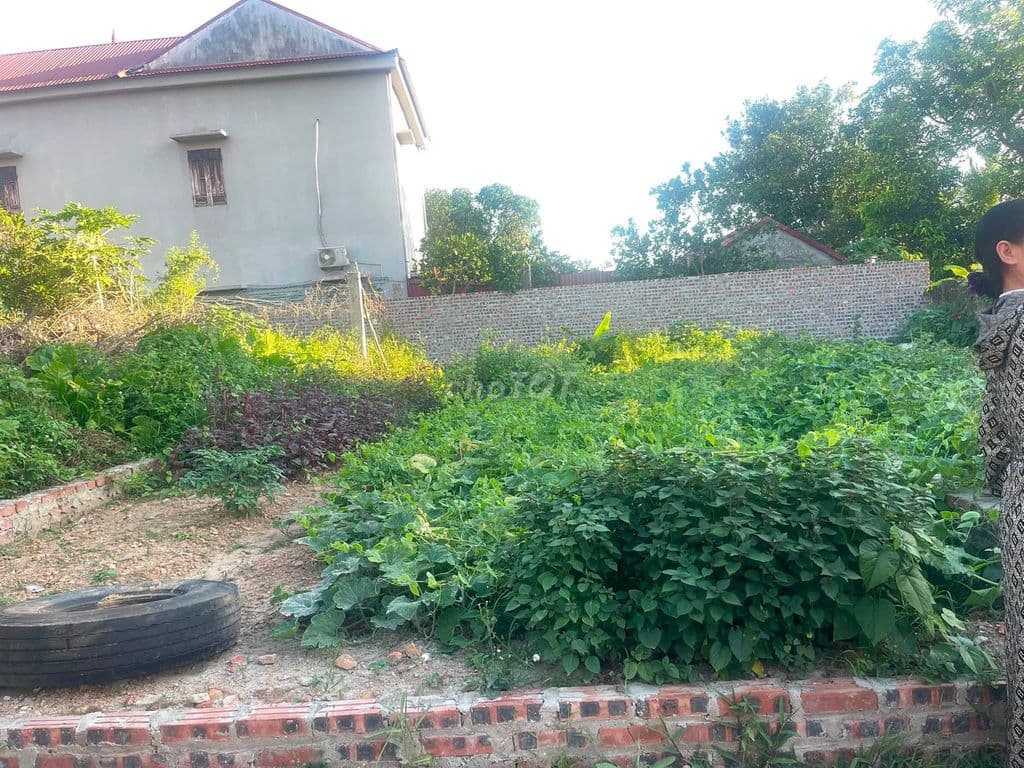 Bán đất Cộng Hoà Phù Linh Sóc Sơn, sát thị trấn, 131m², nhỉnh 2 tỷ - Ảnh 3