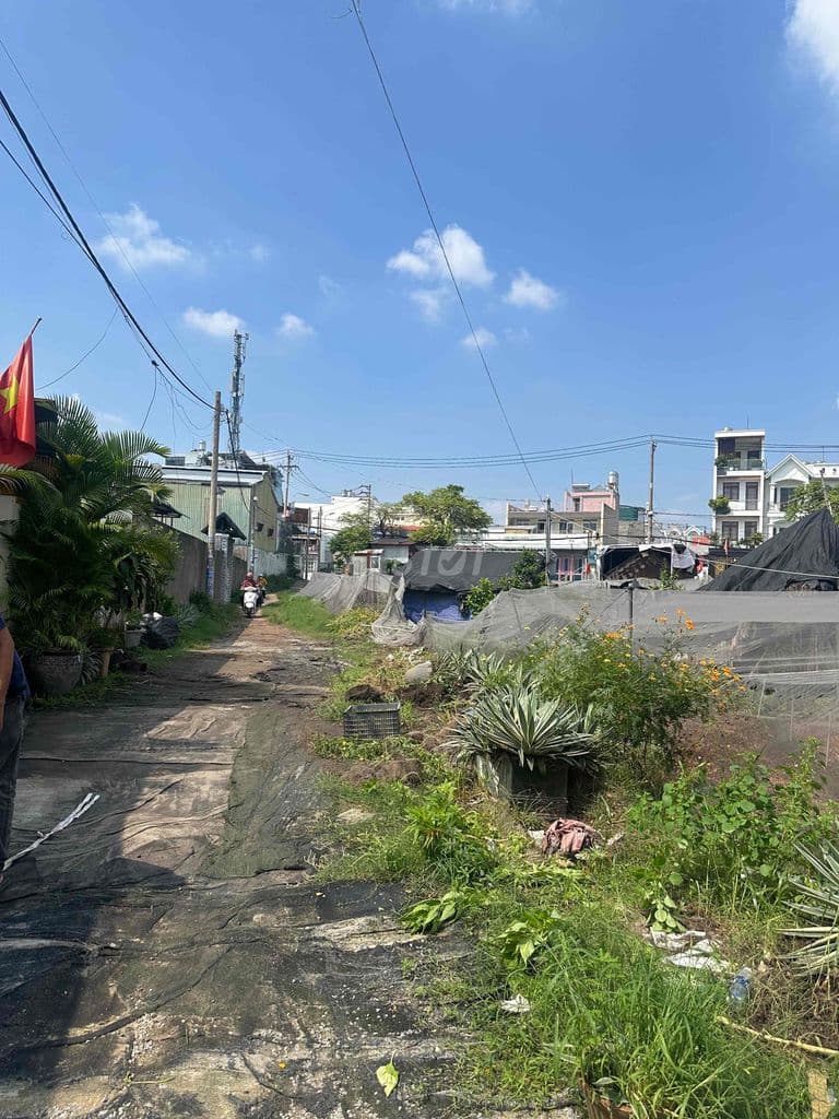 Bán đất nông nghiệp