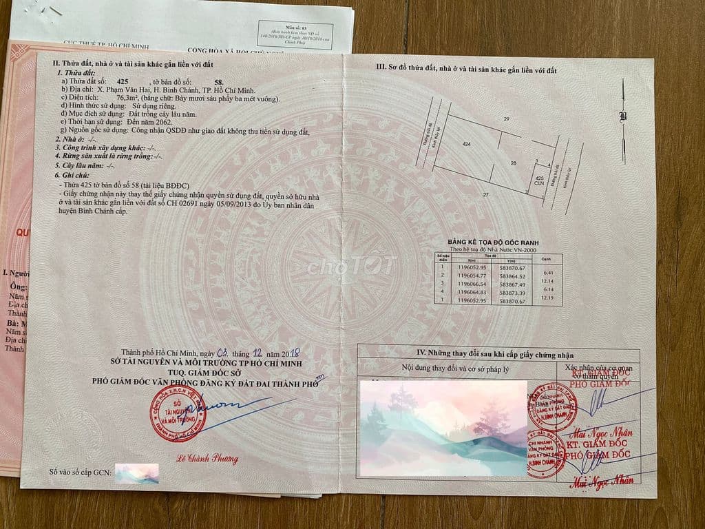 Bán nhà - có 3 phòng trọ - DT: 256m2 - có thể chia 3 nền - Ảnh 2