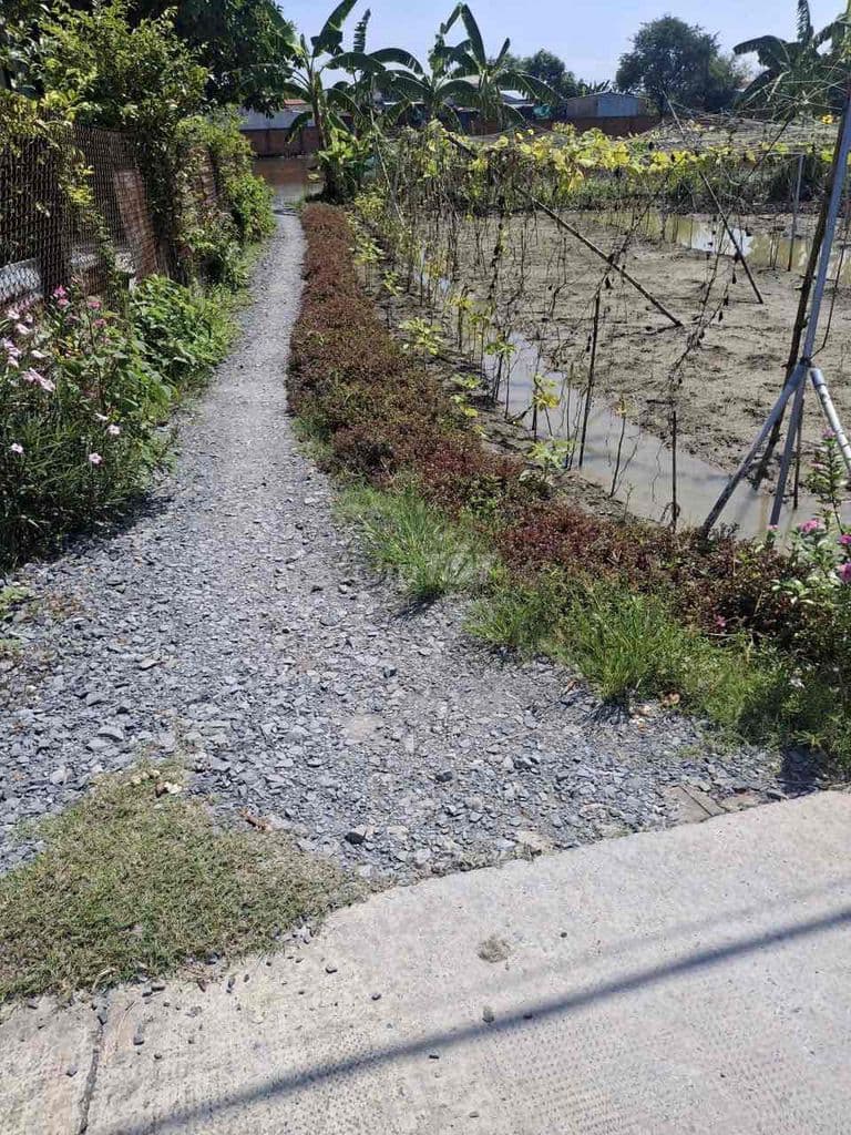 Bán đất 3444m2 QH Làng Đại Học Hưng Long giá 2.5tr/m2 - Ảnh 2