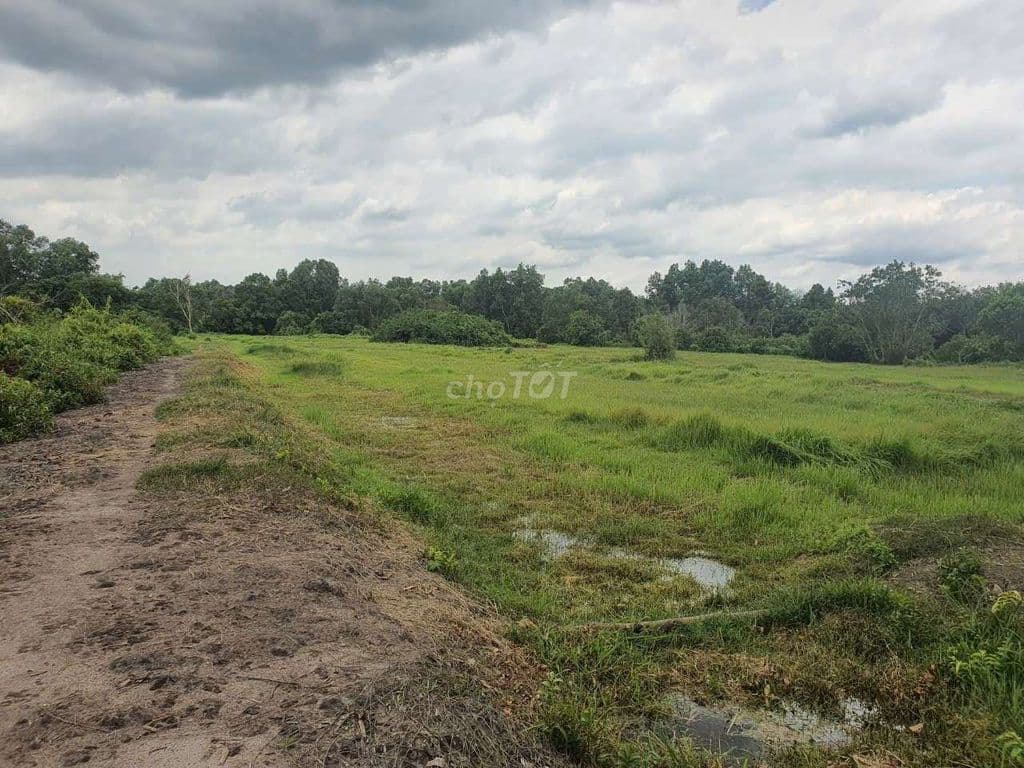 Bán đất An Nhơn Tây - Củ Chi - Ảnh 3