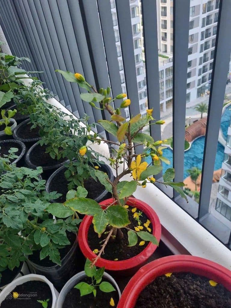 Chủ nợ ngân hàng cần bán gấp căn 65m2 full nội thất, bán 3tỷ - Ảnh 2