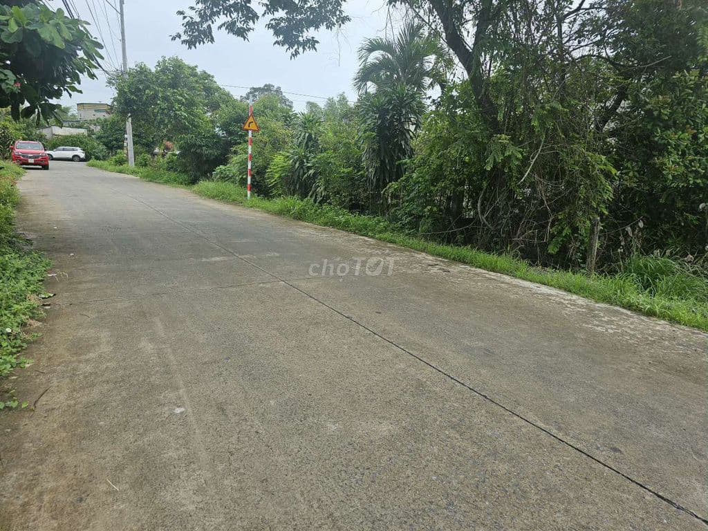 950m2( 16×76) Ngay cây Dù Vàng , có sổ , đúng giá 2 tỷ 3 - Ảnh 2