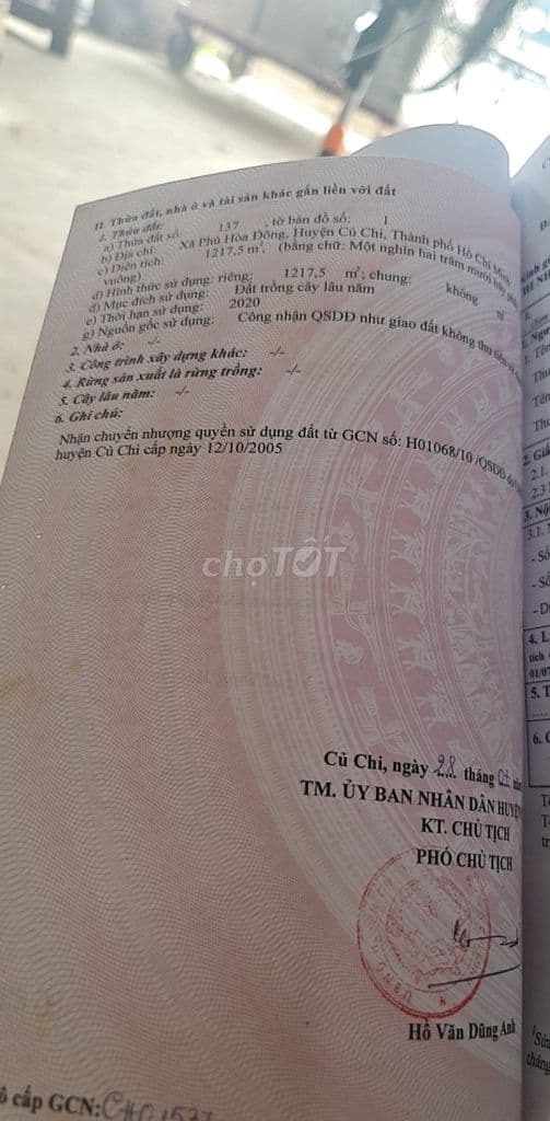 CẦN BÁN LÔ ĐẤT TRỒNG CÂY LÂU NĂM MẶT TIỀN ĐƯỜNG BỜ SÔNG SÀI GÒN