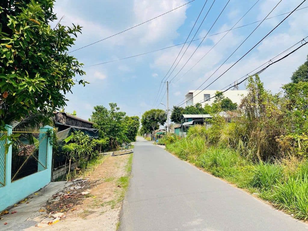 CHỦ NGỘP OXY, BÁN LÔ ĐẤT XÃ TÂN THÔNG HỘI, 252m2, SHR, 899TR - Ảnh 2