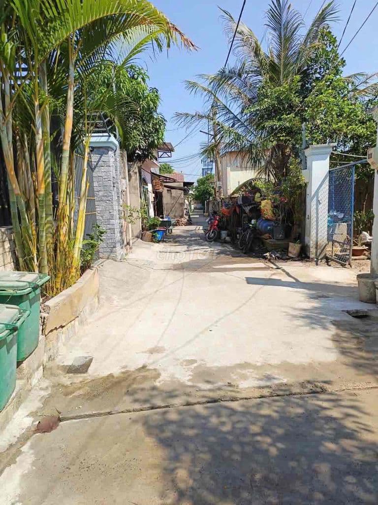 5,7x 20 Hem Trung Mỹ - Ảnh 3