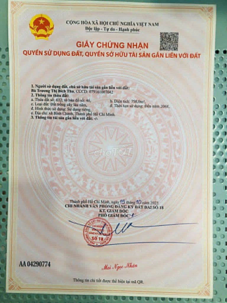 cấn bán đất bình chánh