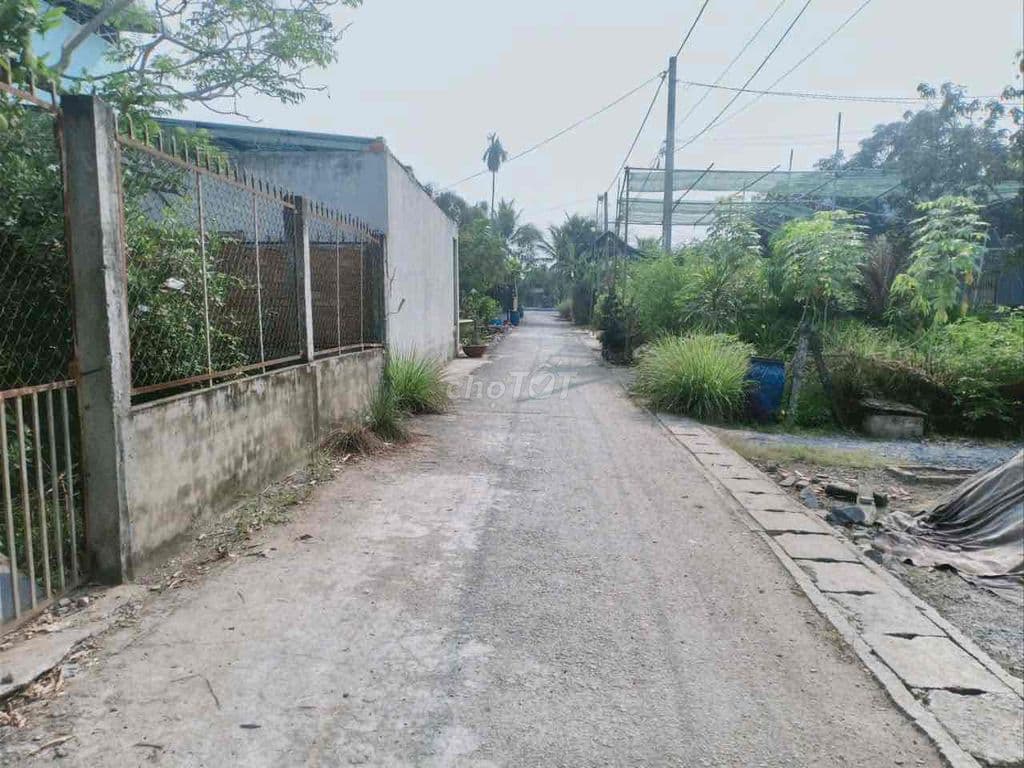 Bán gấn dãy trọ 11p 250m2 thổ cư xã Bình Lợi - Ảnh 2