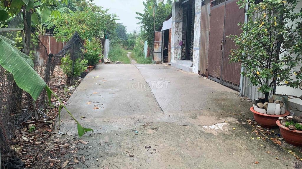 bán gấp đất Hóc Môn- Xuân Thới Thượng 24 - Ảnh 2