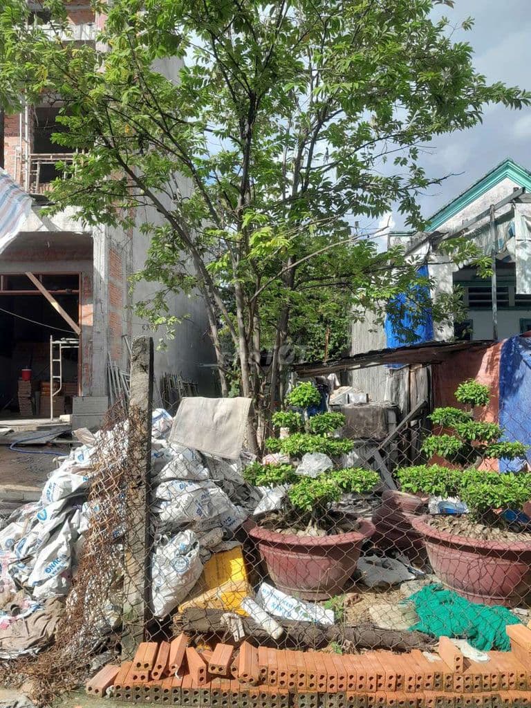 Đất Nguyễn xiển Q9 5 x 28