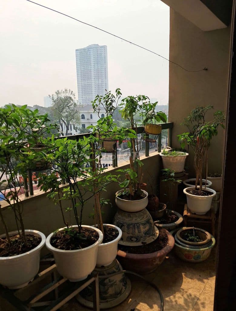 CĂN GÓC RỘNG – VIEW HỒ HIẾM – Ở SƯỚNG LÂU DÀI 🌿 Bán căn hộ CT4A1 - Ảnh 2