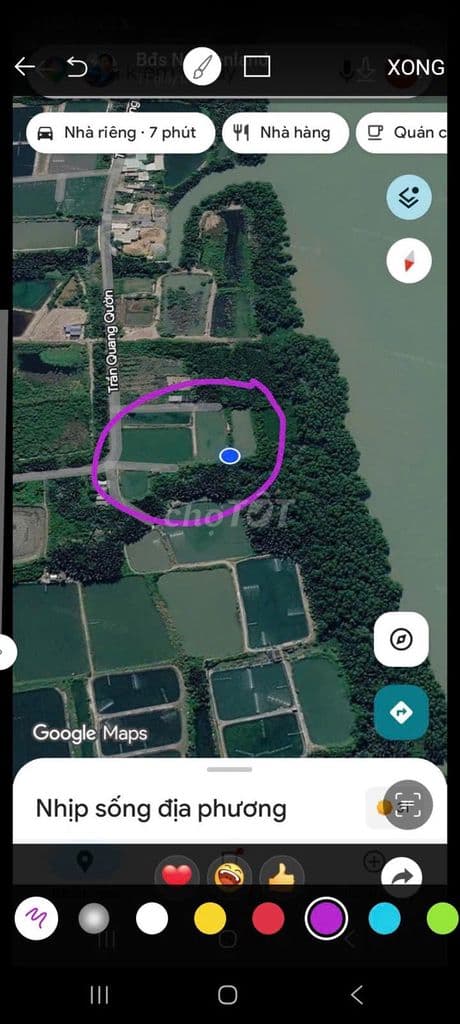 Bán 1,1 ha mặt tiền xe hơi,mặt sông lớn làm bãi vật tư giá 30 tỷ trọn - Ảnh 3