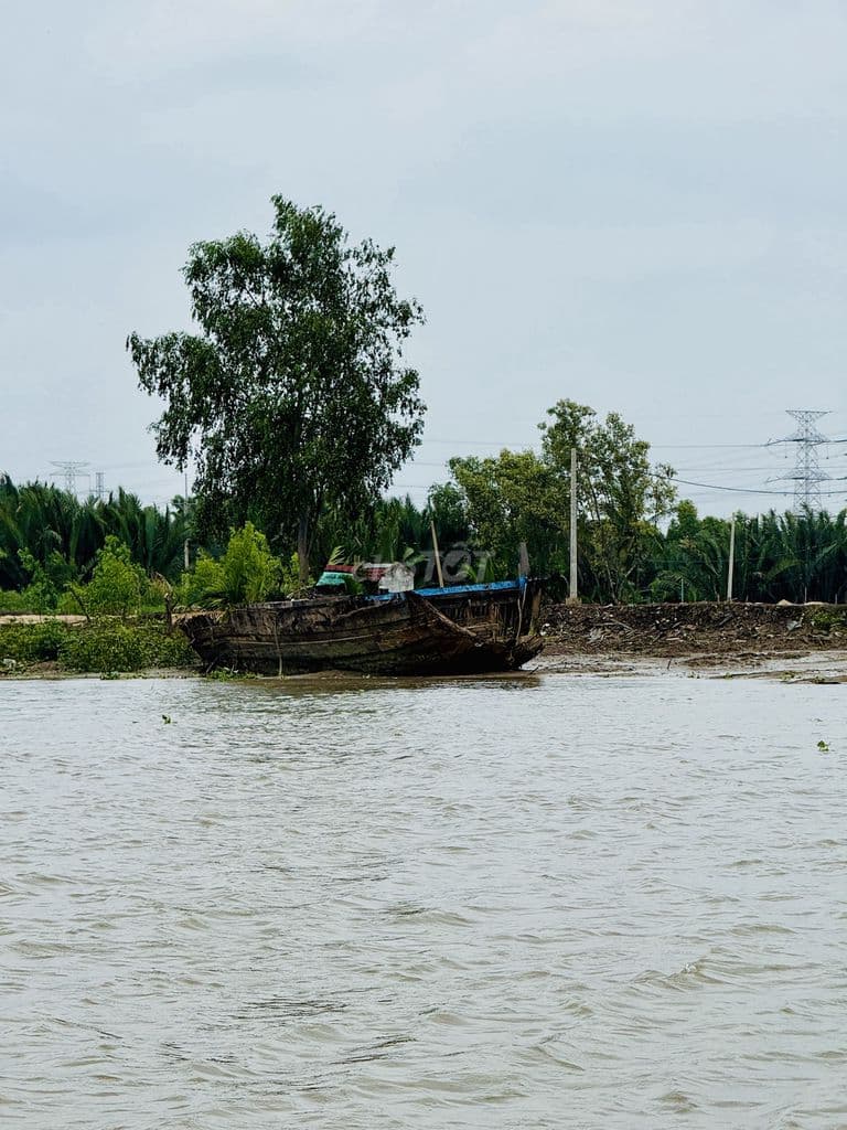 Bán đất cù Lao Mương Chuối - Bình Khánh - HCM - Ảnh 3