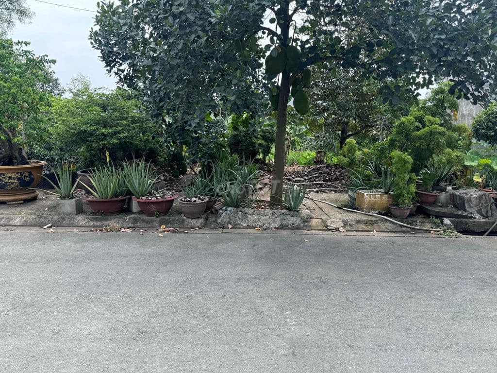 Bán đất chính chủ - Ảnh 3