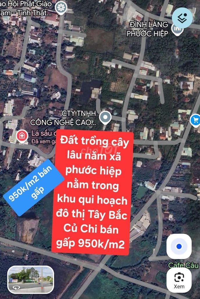 Đất trồng cây lâu năm xã phước hiệp,củ chi 950k/m2 - Ảnh 2