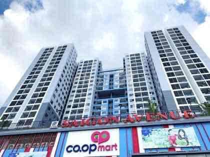 BÁN NHANH CĂN HỘ SÀI GÒN AVENUE - Ảnh 3