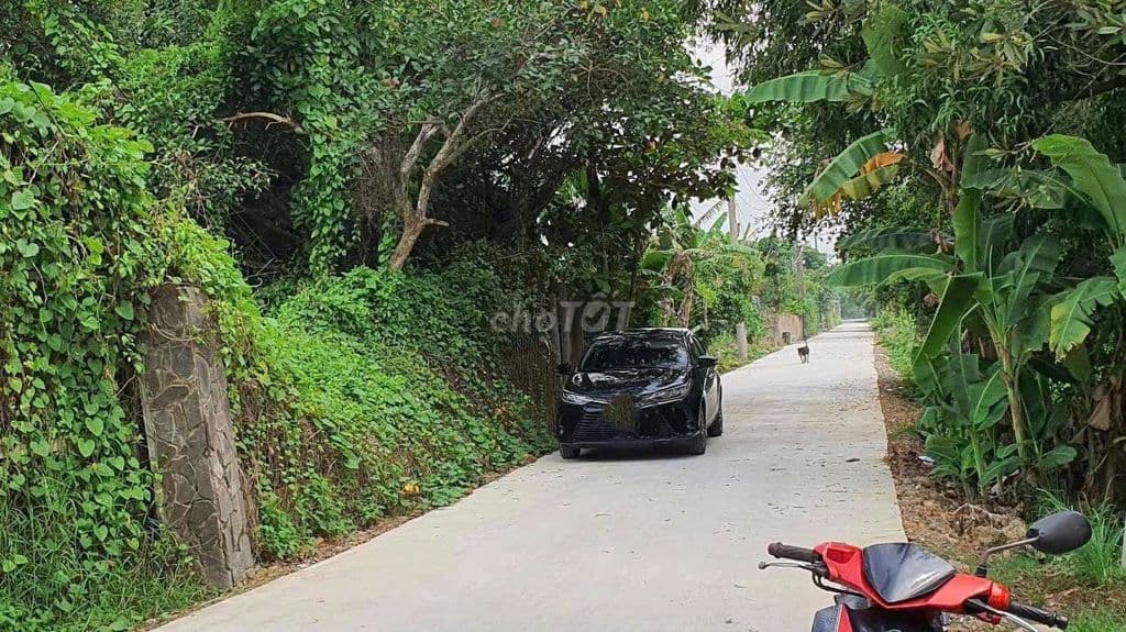 Cần bán gấp lô đất 2000m2 vườn có 218m2 thổ - Ảnh 2