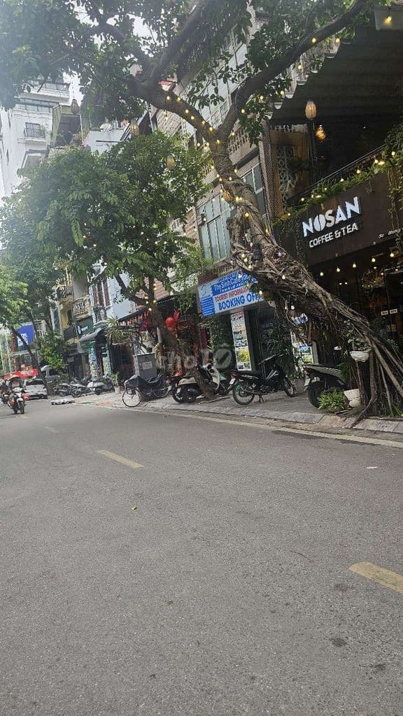 PHỐ CỔ HOÀN KIẾM HÀNG PHÈN - 53M² - MT 4.2M - SỔ VUÔNG ĐẸP - 54,8 TỶ - Ảnh 3