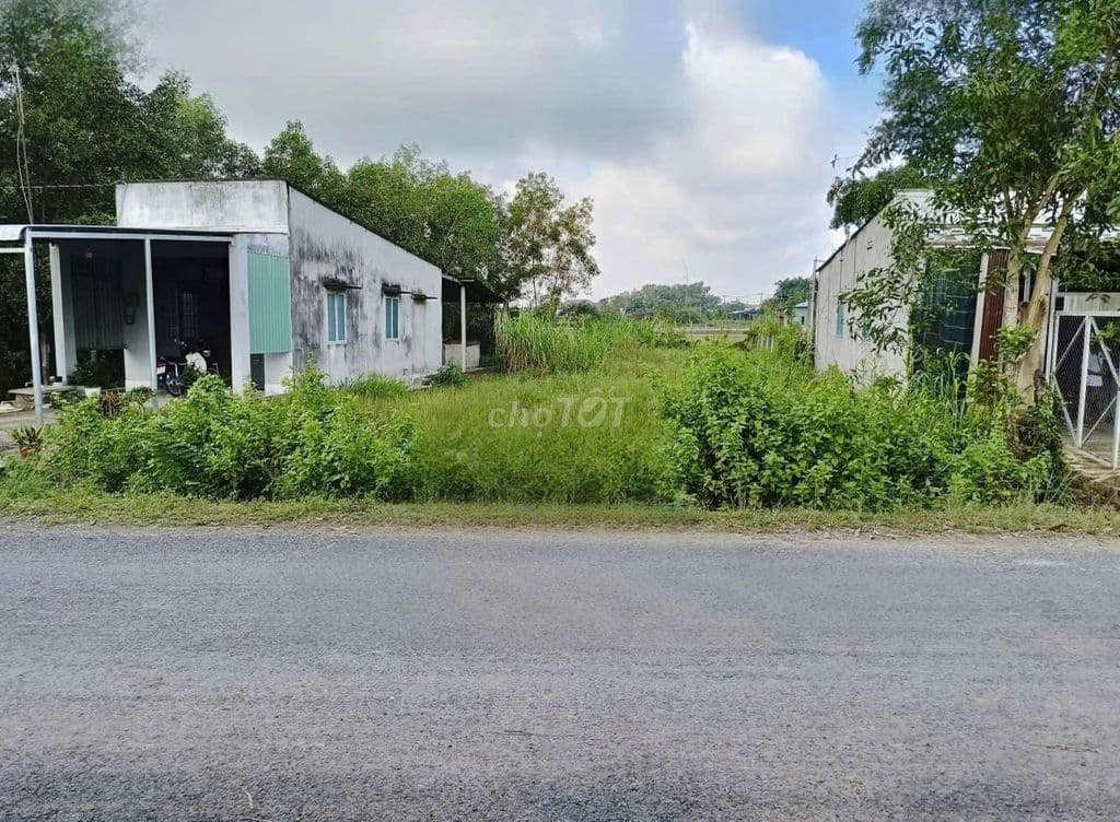 Thanh lý miếng đất mặt tiền đường 6m tại xã Phước Hiệp Củ Chi SHR
