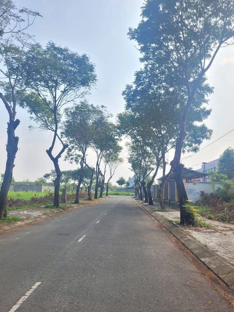 NỀN BIỆT THỰ - TRỤC CHÍNH DỰ ÁN ĐẠI HỌC MỞ 7,6 TỶ/152M2 - Ảnh 2